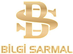 Bilgi Başarı Yayınları