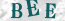 Güvenlik Resmi