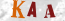 Güvenlik Resmi